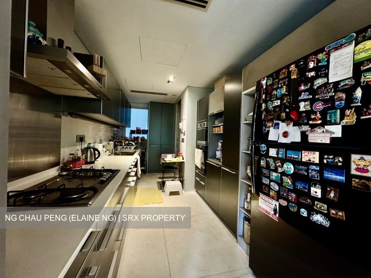 St. Regis Residences (D10), Apartment #538986951